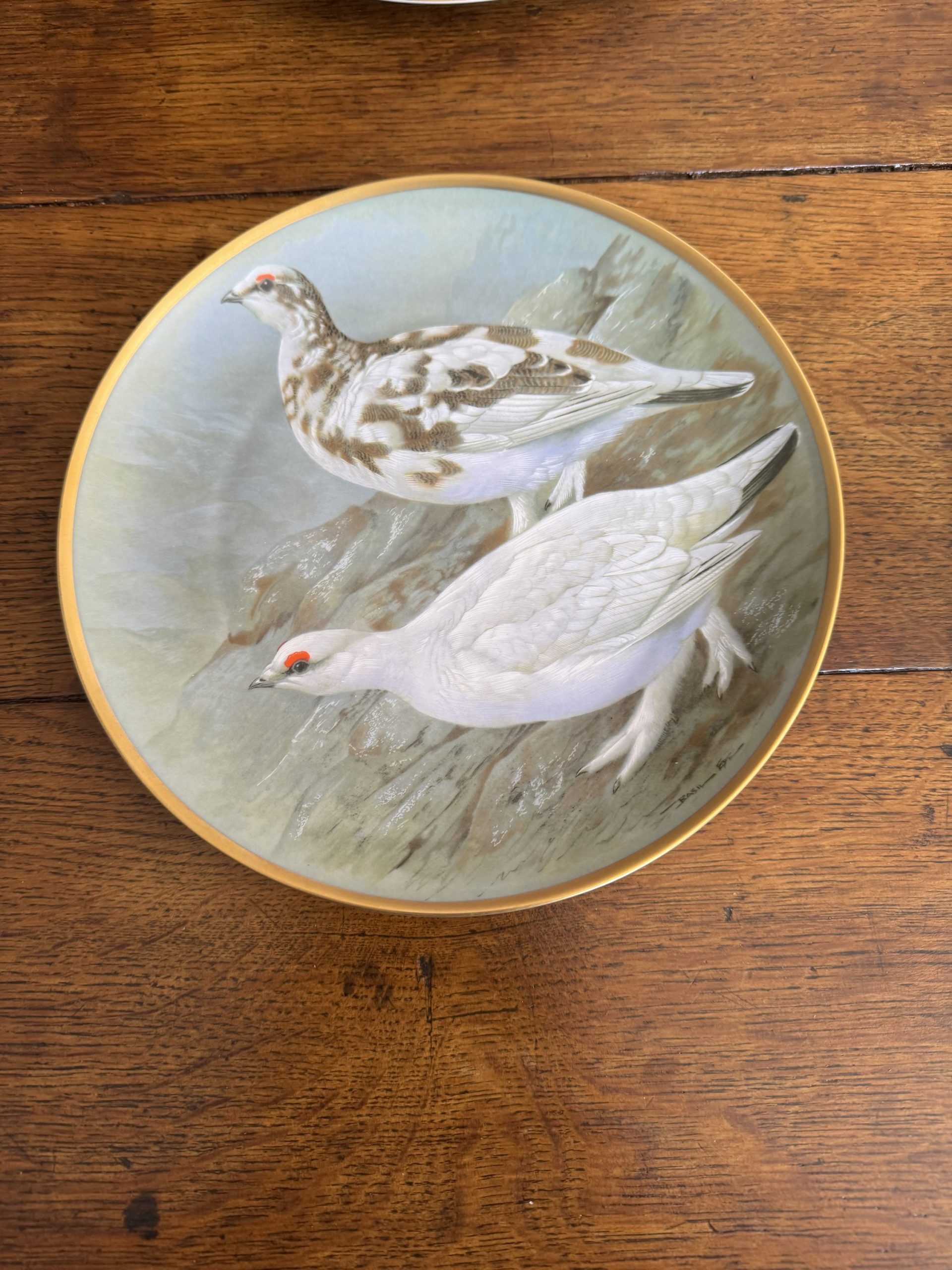 Full set of 12 vintage Franklin Porcelain Game Birds of the World collectible plates - Image 13