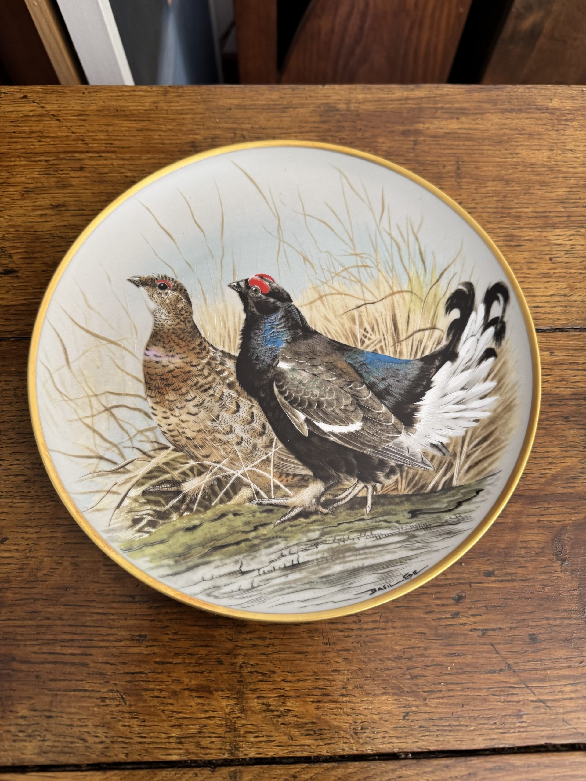 Full set of 12 vintage Franklin Porcelain Game Birds of the World collectible plates - Image 14