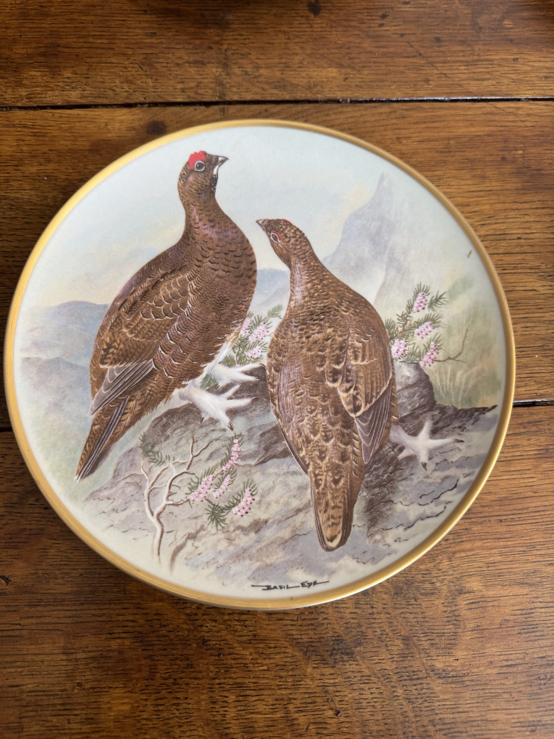 Full set of 12 vintage Franklin Porcelain Game Birds of the World collectible plates - Image 15