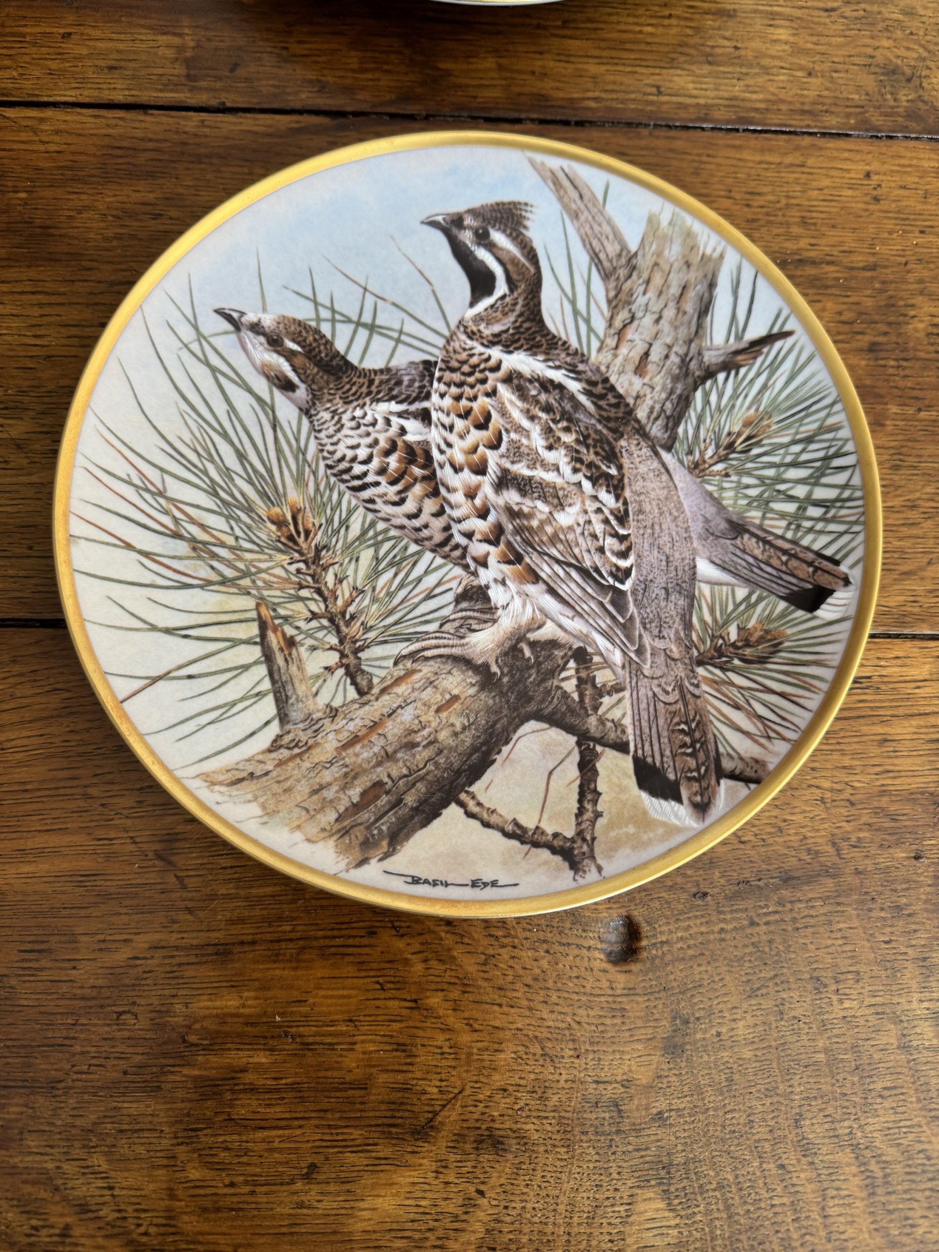 Full set of 12 vintage Franklin Porcelain Game Birds of the World collectible plates - Image 12