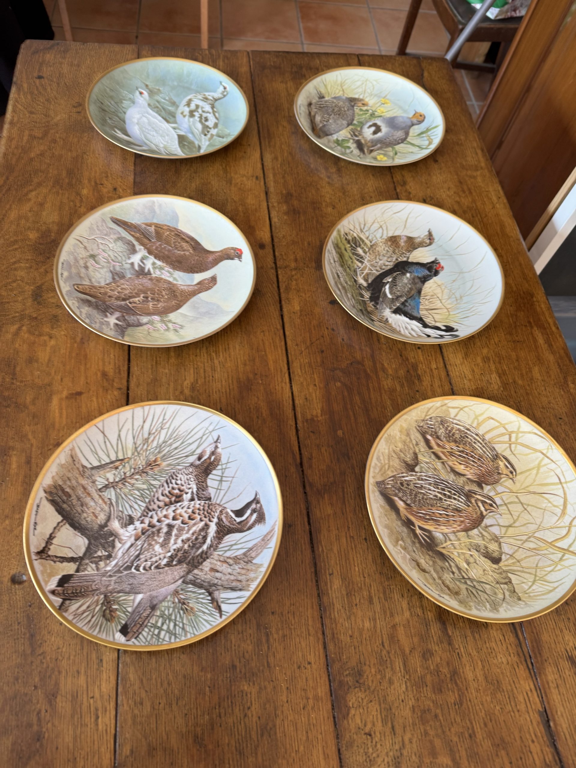 Full set of 12 vintage Franklin Porcelain Game Birds of the World collectible plates - Image 5