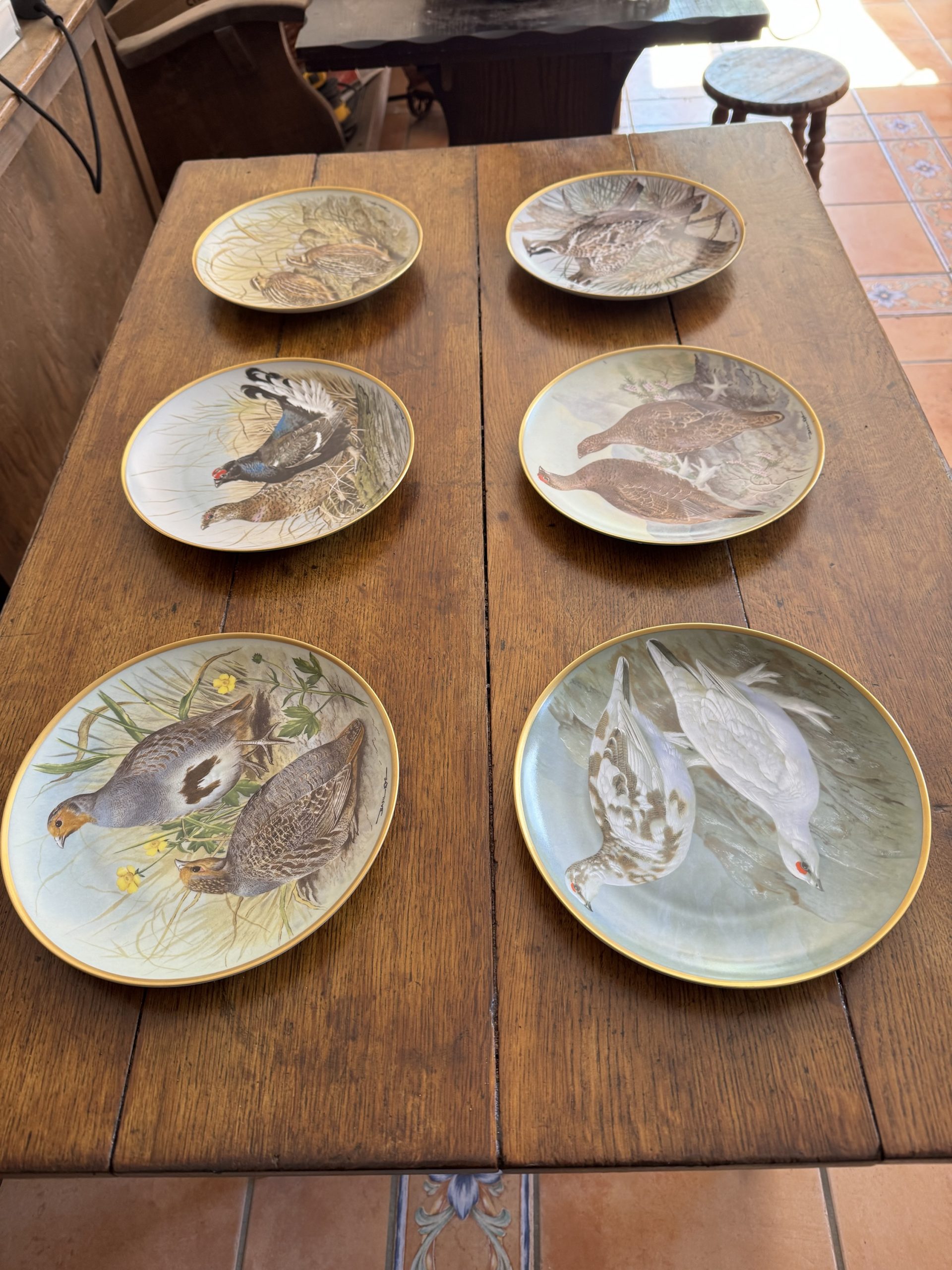 Full set of 12 vintage Franklin Porcelain Game Birds of the World collectible plates - Image 4