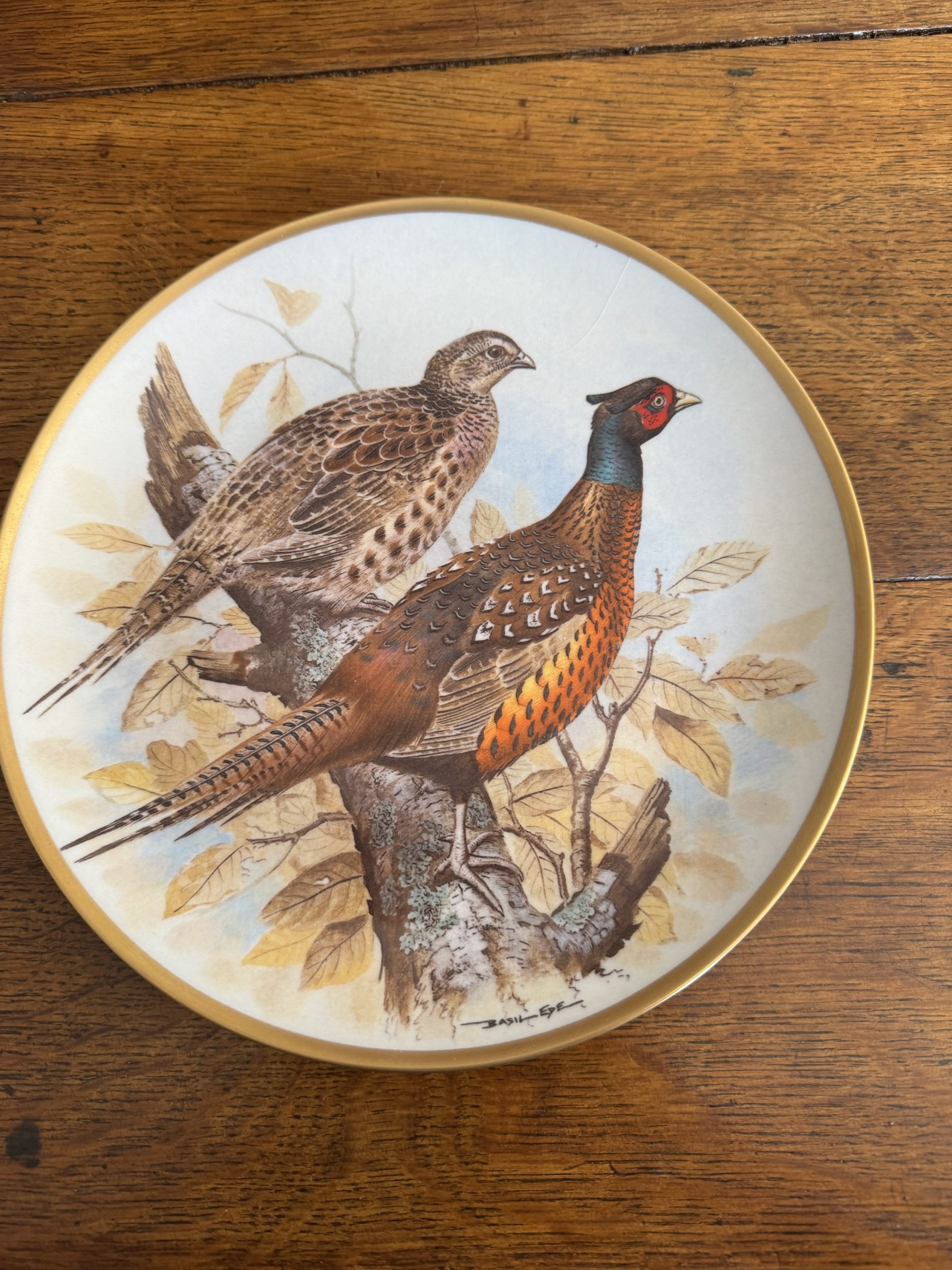 Full set of 12 vintage Franklin Porcelain Game Birds of the World collectible plates - Image 10