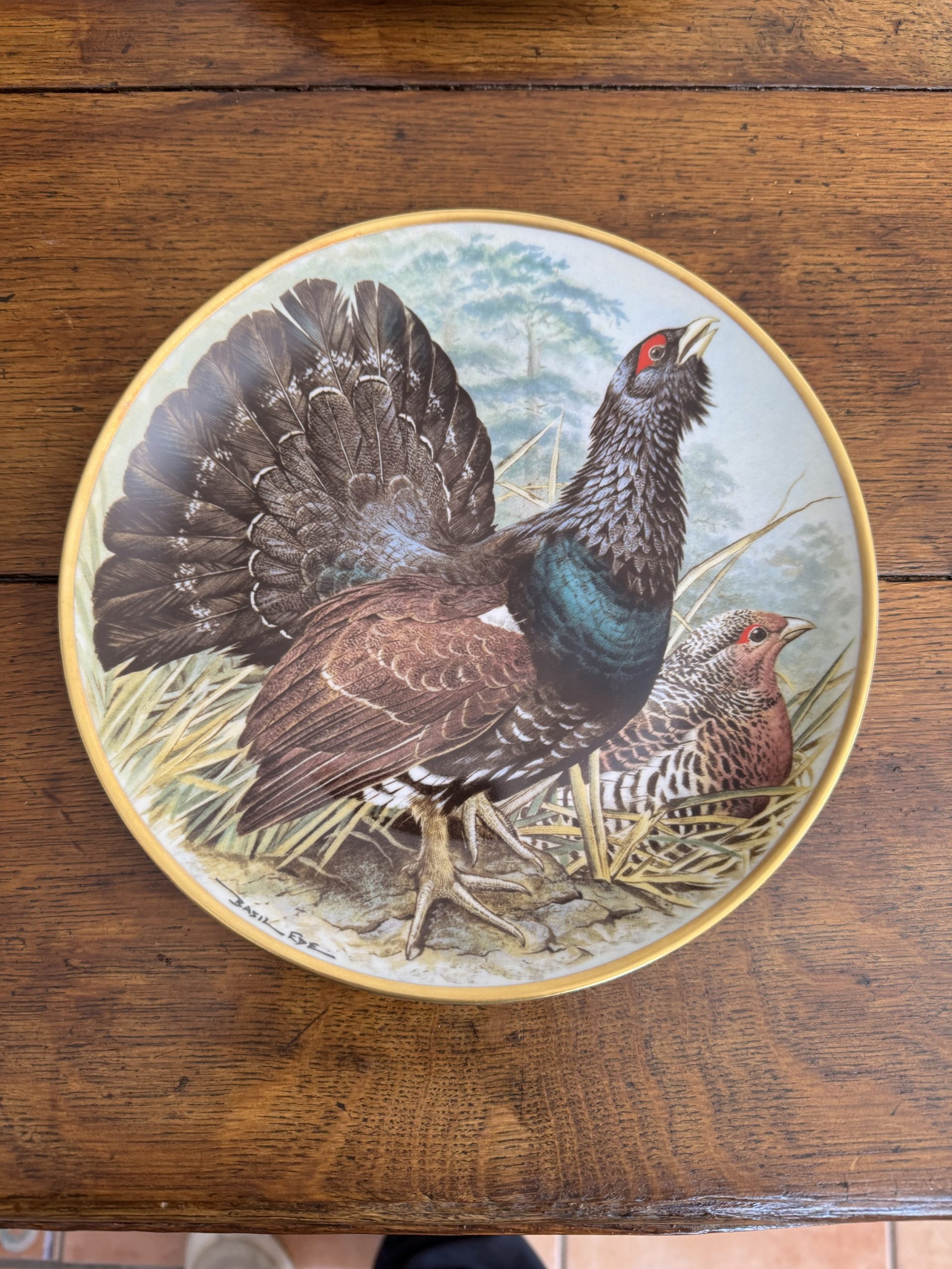 Full set of 12 vintage Franklin Porcelain Game Birds of the World collectible plates - Image 9