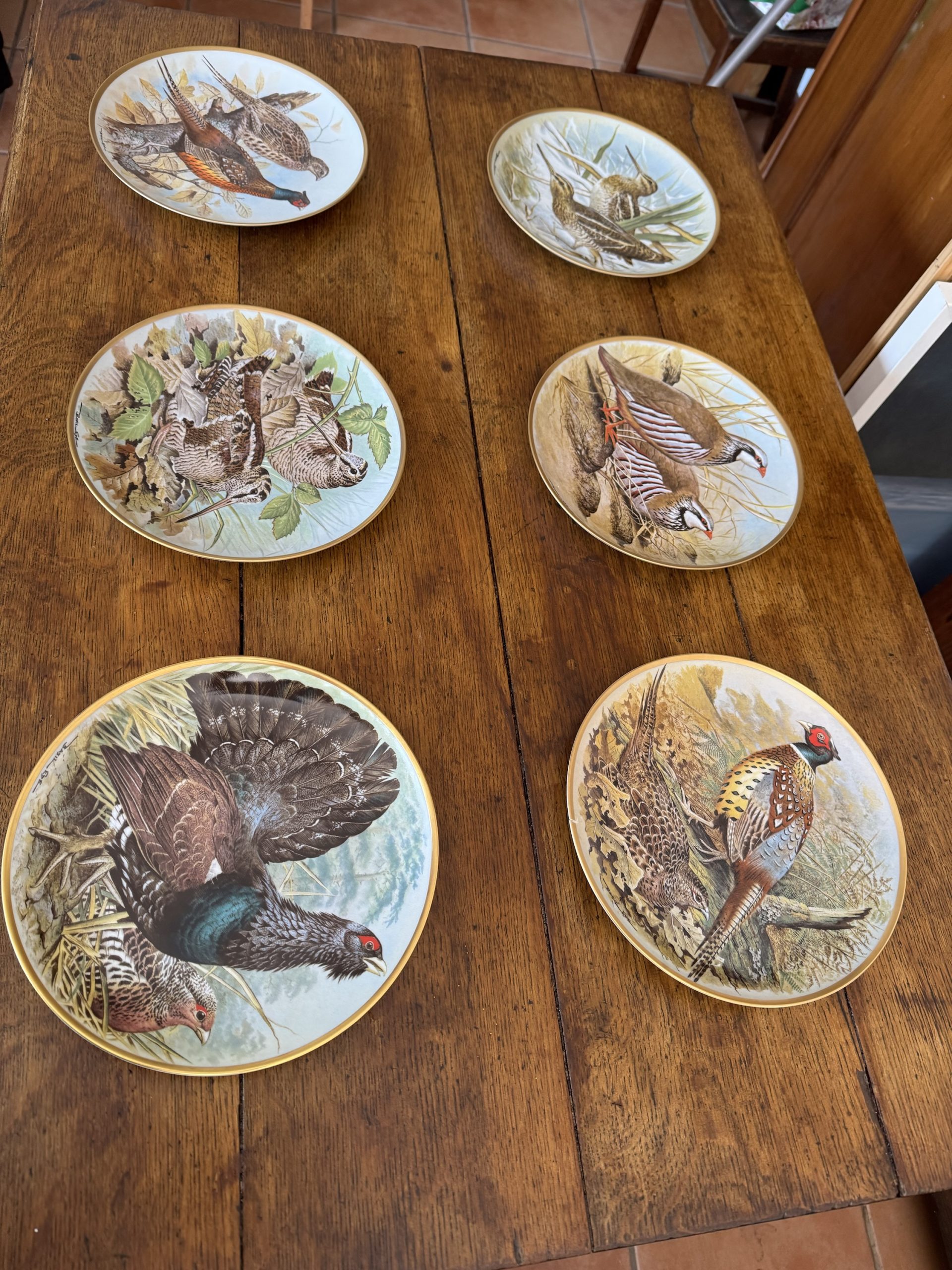 Full set of 12 vintage Franklin Porcelain Game Birds of the World collectible plates - Image 3