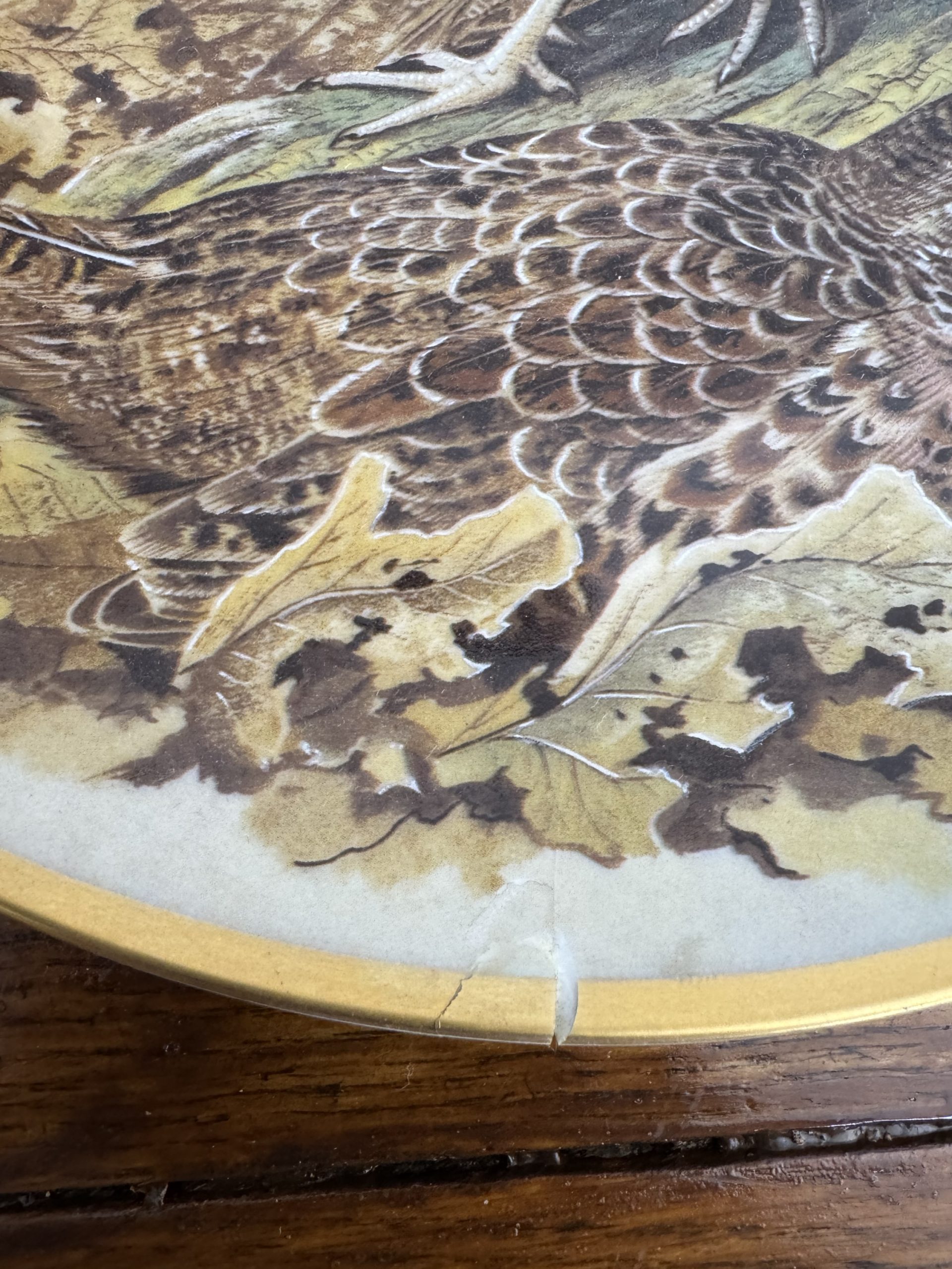 Full set of 12 vintage Franklin Porcelain Game Birds of the World collectible plates - Image 16